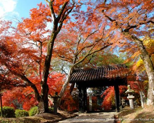 朝仓一日游——治愈身心的温泉