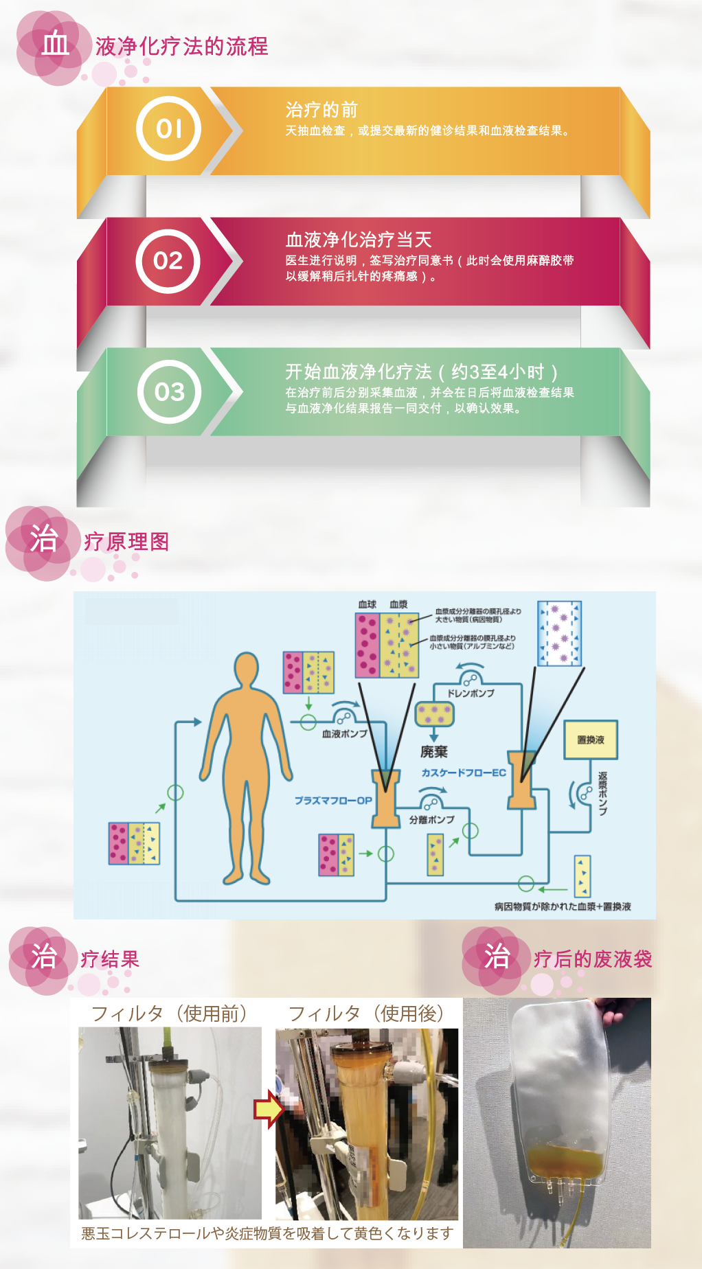 楓株式会社